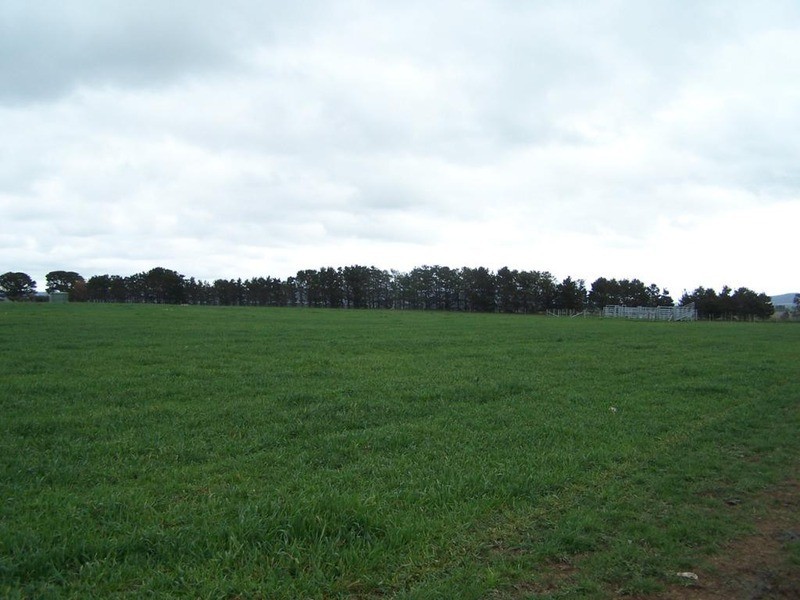 354 Painters Lane, Goulburn NSW 2580