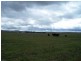 354 Painters Lane, Goulburn NSW 2580