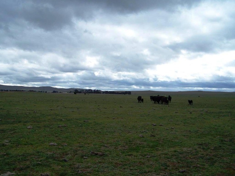 354 Painters Lane, Goulburn NSW 2580