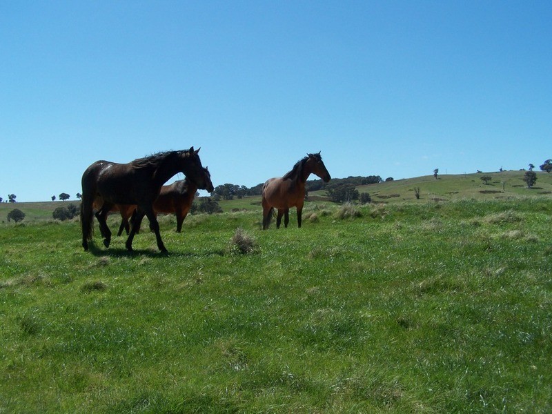 “Karamia West” Lost River  Road, Crookwell NSW 2583