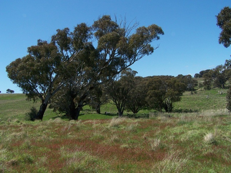 “Karamia West” Lost River  Road, Crookwell NSW 2583