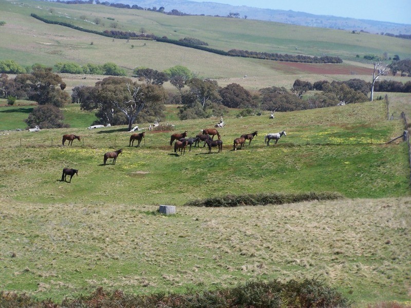 “Karamia” Lost River Road, Crookwell NSW 2583