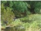 970 Levels Road, Golspie NSW 2580