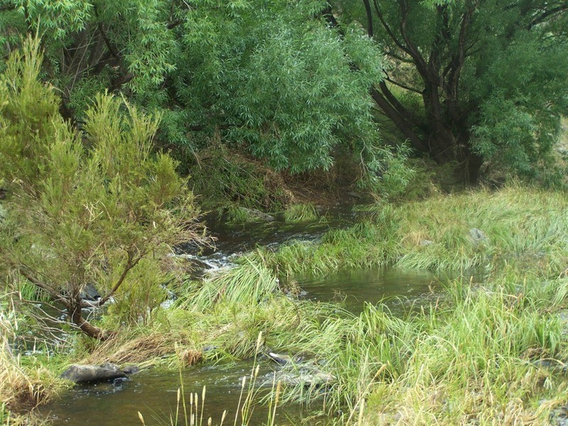 970 Levels Road, Golspie NSW 2580