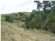 970 Levels Road, Golspie NSW 2580