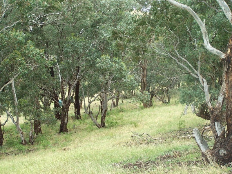 970 Levels Road, Golspie NSW 2580