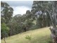 970 Levels Road, Golspie NSW 2580