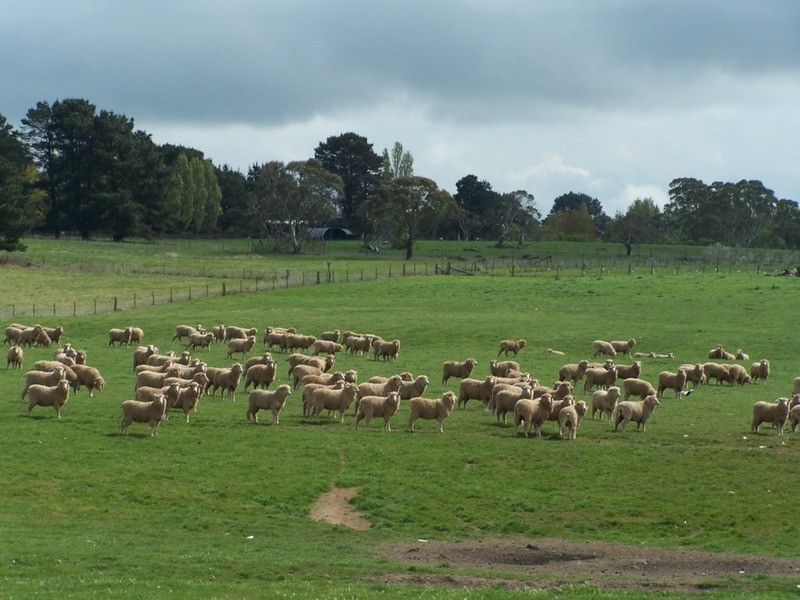 “Lintonville” Cooper  Street, Taralga NSW 2580