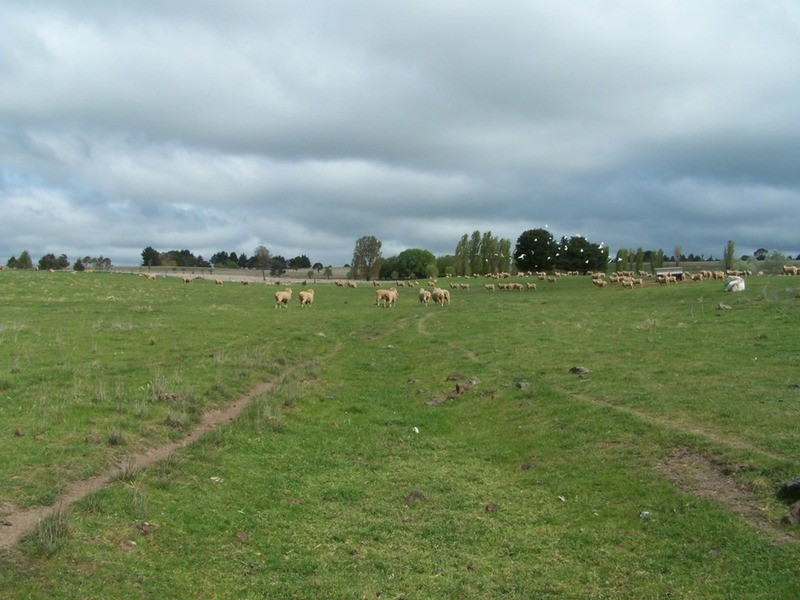 “Lintonville” Cooper  Street, Taralga NSW 2580