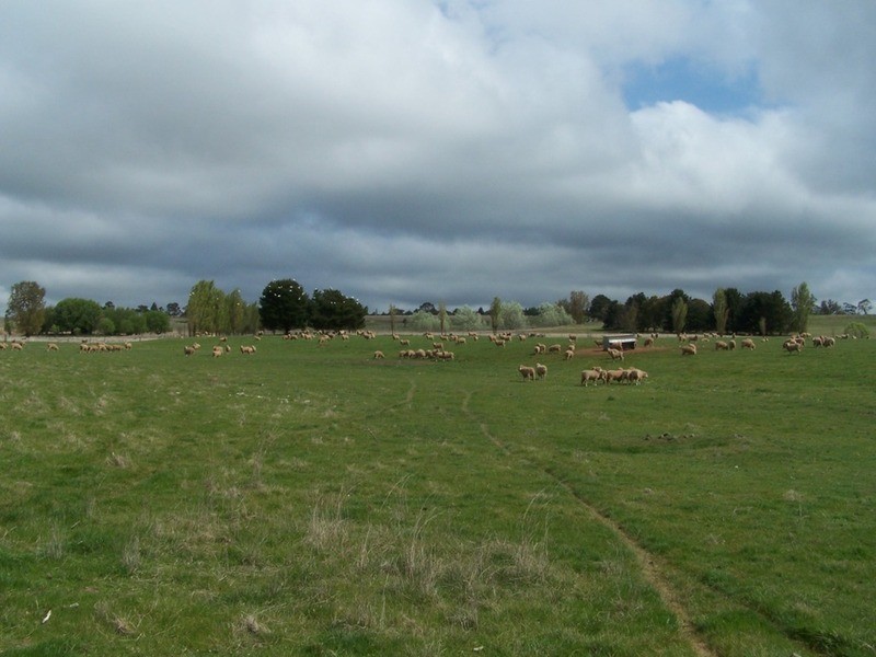 “Lintonville” Cooper  Street, Taralga NSW 2580