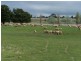 “Lintonville” Cooper  Street, Taralga NSW 2580