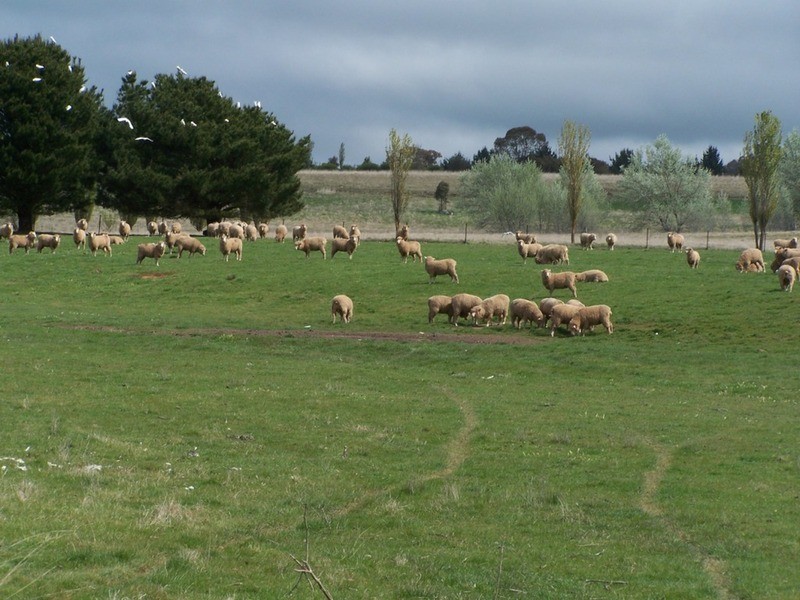 “Lintonville” Cooper  Street, Taralga NSW 2580