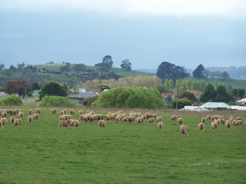 “Lintonville” Cooper  Street, Taralga NSW 2580