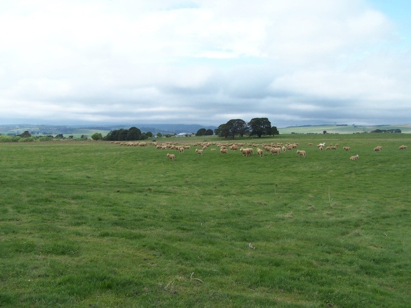 “Lintonville” Cooper  Street, Taralga NSW 2580