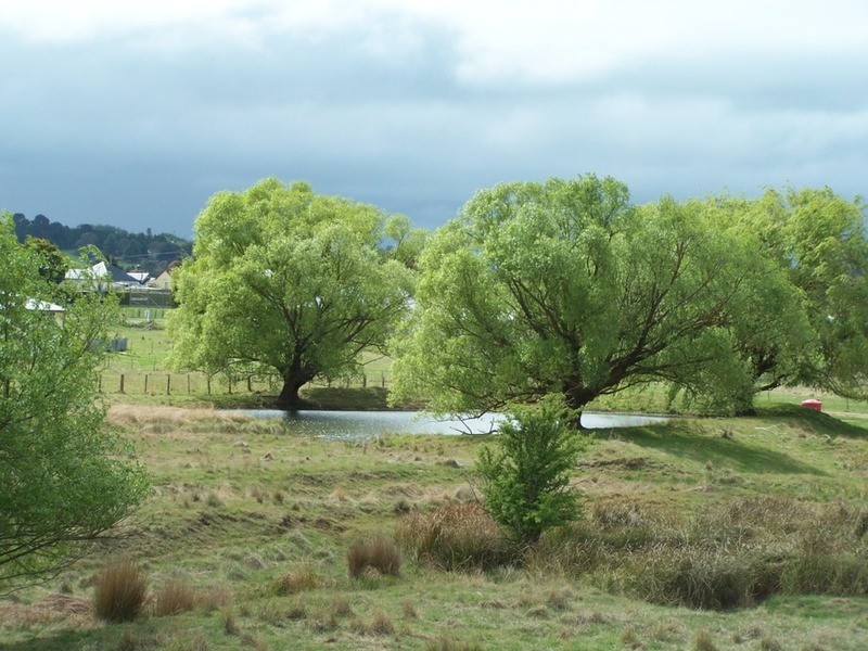 “Lintonville” Cooper  Street, Taralga NSW 2580