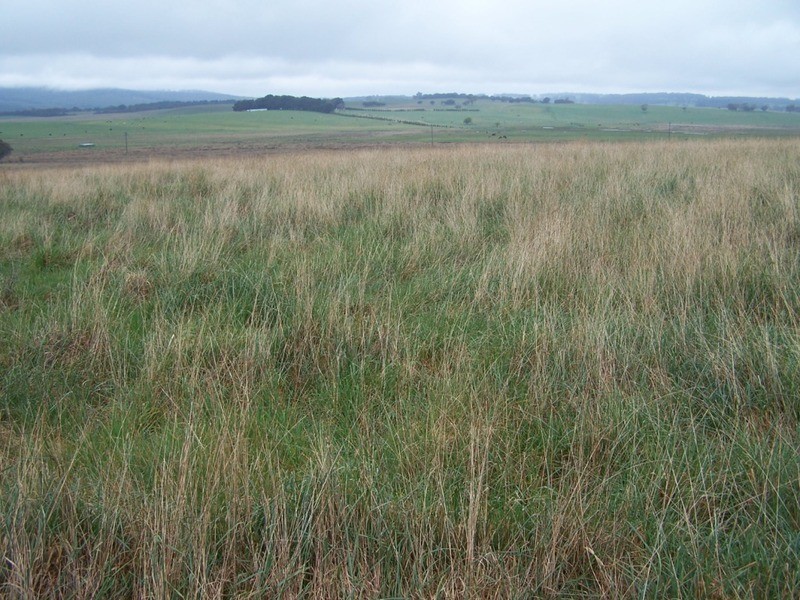 Lot 2  Glenerin Road, Grabben Gullen NSW 2583