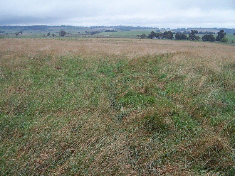 Lot 2  Glenerin Road, Grabben Gullen NSW 2583