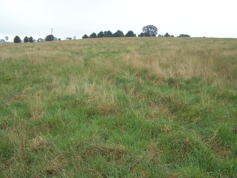 Lot 2  Glenerin Road, Grabben Gullen NSW 2583