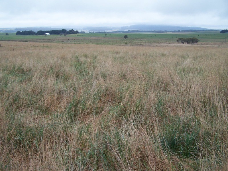 Lot 2  Glenerin Road, Grabben Gullen NSW 2583