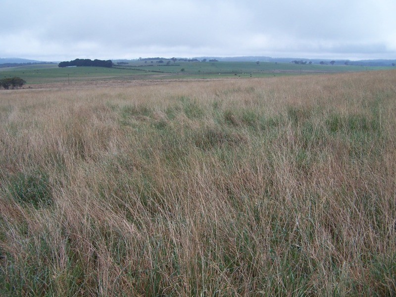 Lot 2  Glenerin Road, Grabben Gullen NSW 2583