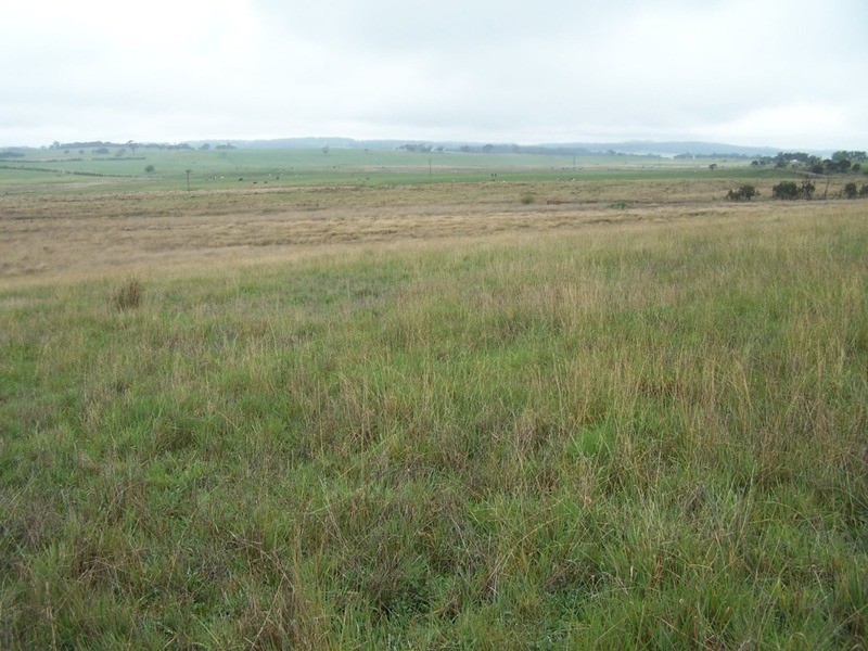 Lot 2  Glenerin Road, Grabben Gullen NSW 2583