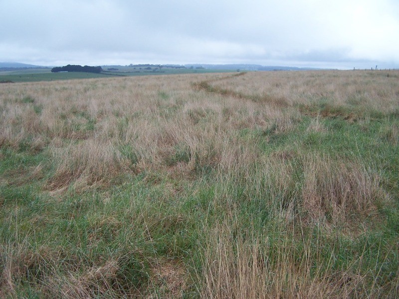 Lot 2  Glenerin Road, Grabben Gullen NSW 2583