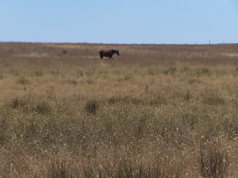Lot 2  Glenerin Road, Grabben Gullen NSW 2583
