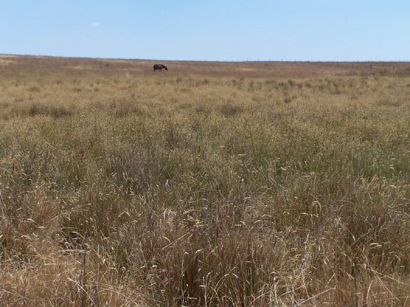 Lot 2  Glenerin Road, Grabben Gullen NSW 2583