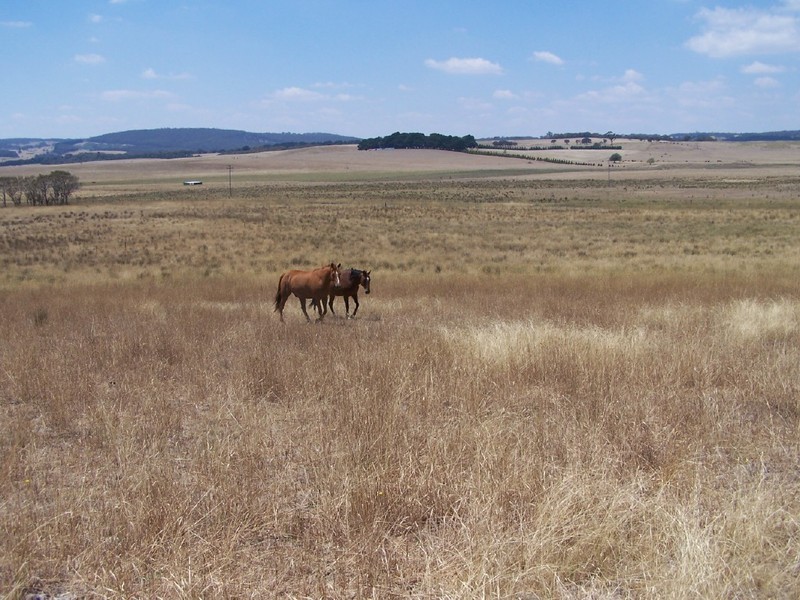 Lot 2  Glenerin Road, Grabben Gullen NSW 2583