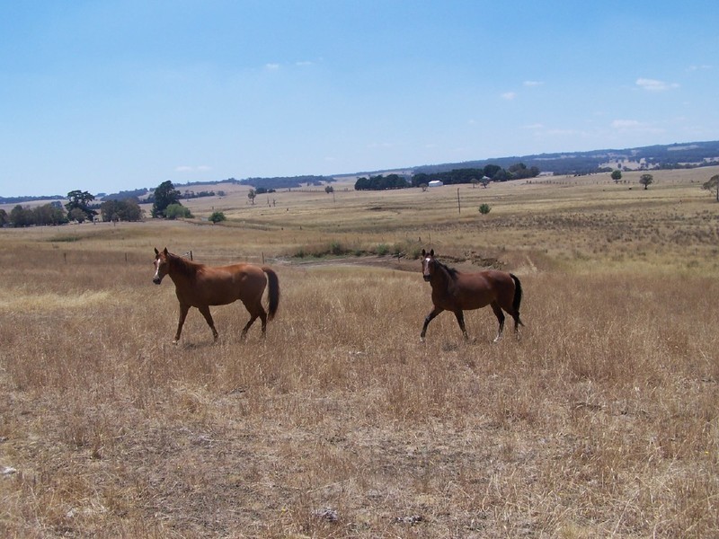 Lot 2  Glenerin Road, Grabben Gullen NSW 2583