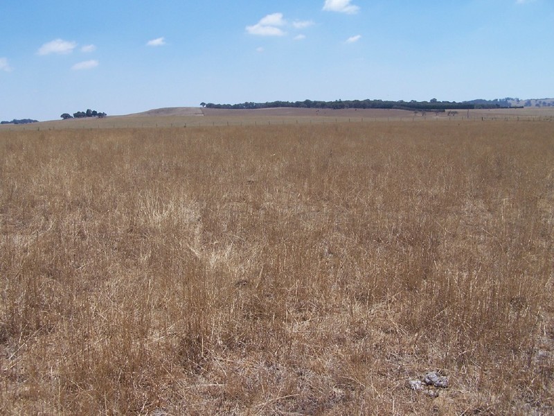 Lot 2  Glenerin Road, Grabben Gullen NSW 2583