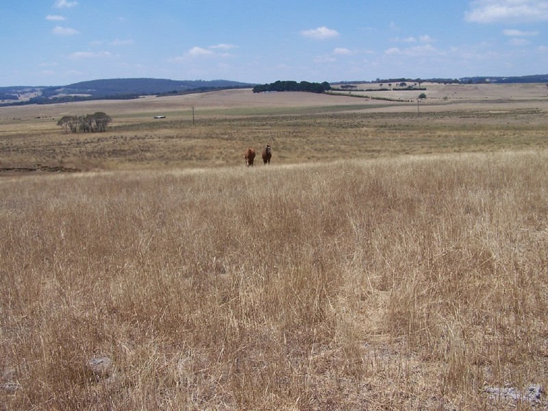 Lot 2  Glenerin Road, Grabben Gullen NSW 2583