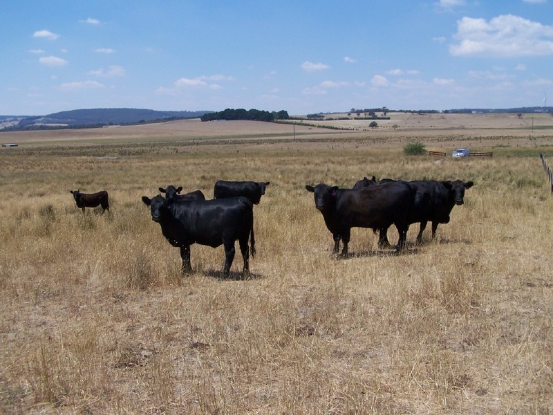 Lot 2  Glenerin Road, Grabben Gullen NSW 2583