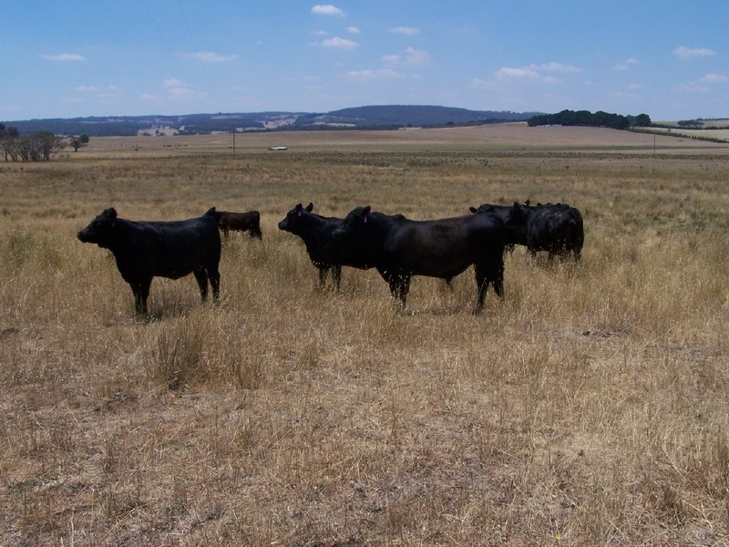 Lot 2  Glenerin Road, Grabben Gullen NSW 2583