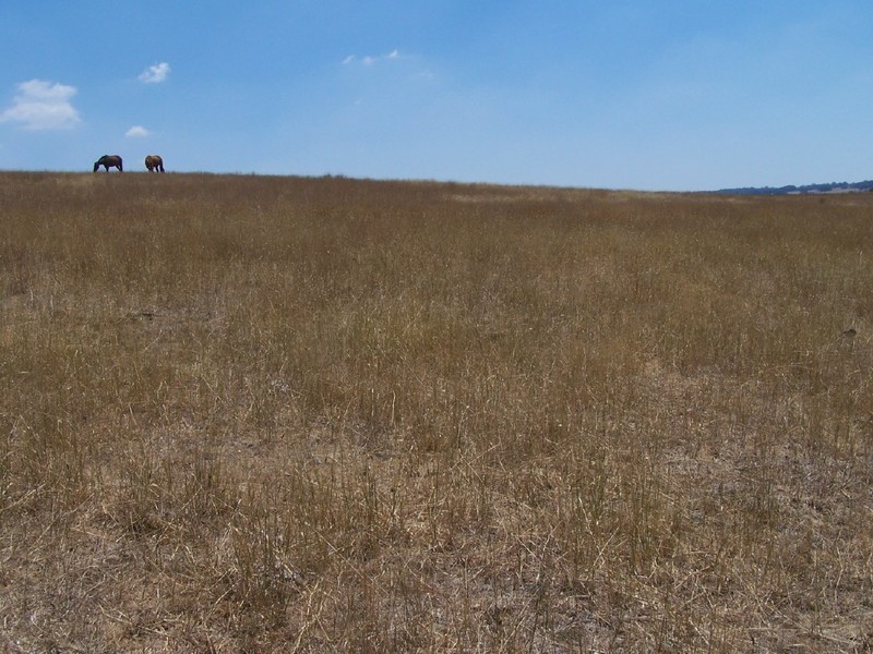 Lot 2  Glenerin Road, Grabben Gullen NSW 2583