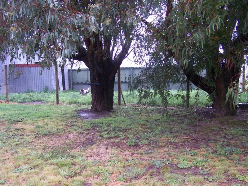 “Grey Park” 343 Glenerin Road, Grabben Gullen NSW 2583