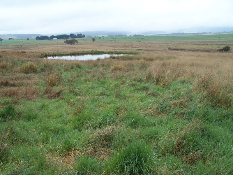 “Grey Park” 343 Glenerin Road, Grabben Gullen NSW 2583