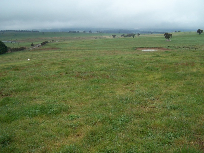 “Grey Park” 343 Glenerin Road, Grabben Gullen NSW 2583