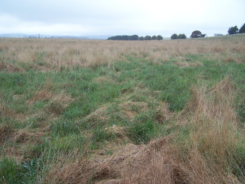 “Grey Park” 343 Glenerin Road, Grabben Gullen NSW 2583