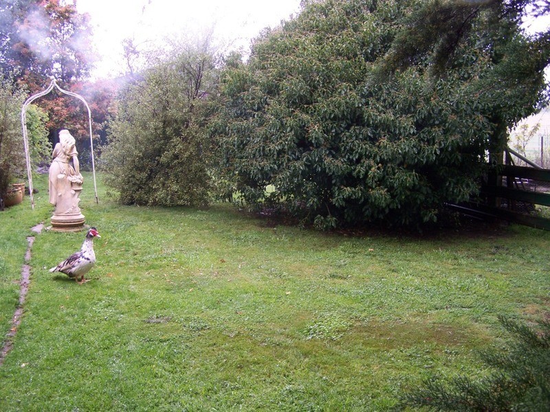 “Grey Park” 343 Glenerin Road, Grabben Gullen NSW 2583