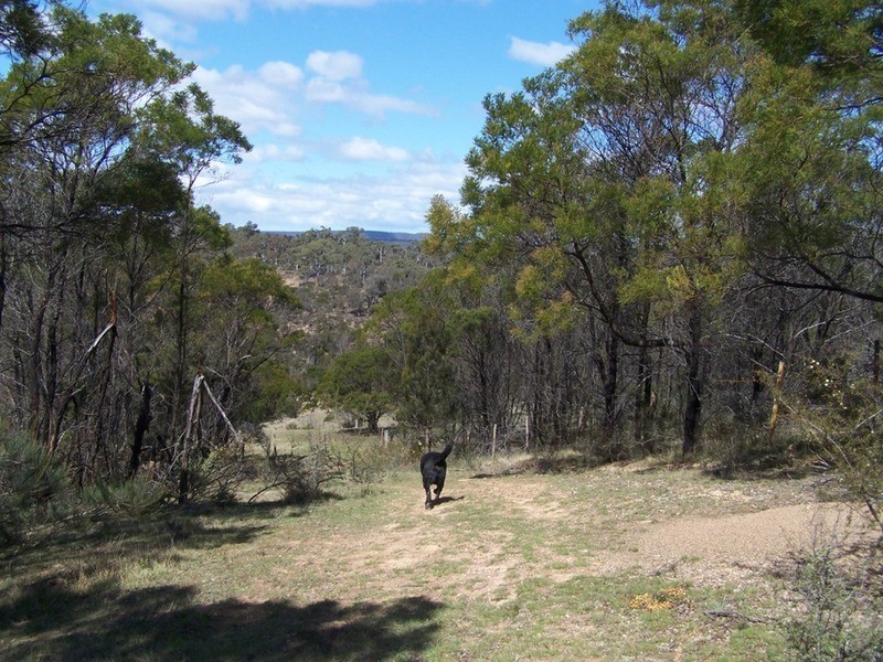 138  Off Chugga  Lane, Windellama NSW 2580