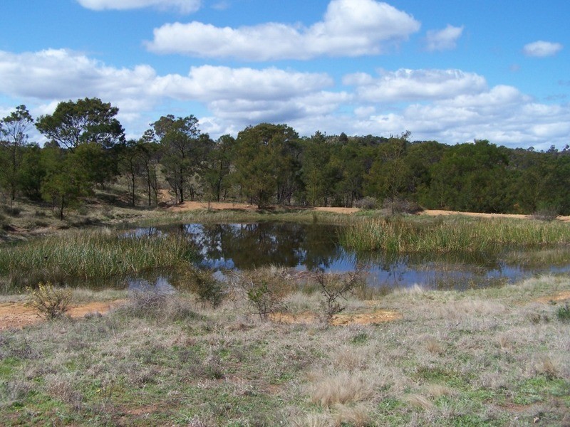 138  Off Chugga  Lane, Windellama NSW 2580