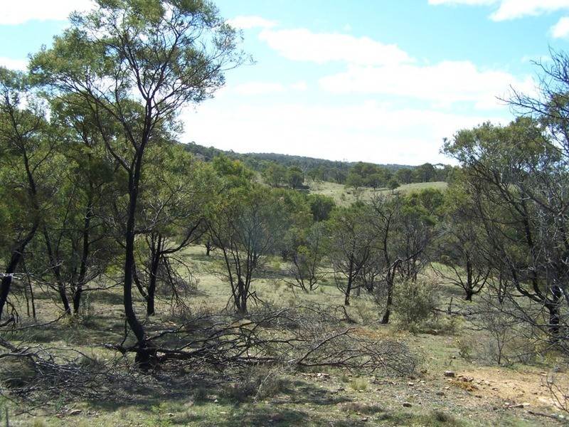138  Off Chugga  Lane, Windellama NSW 2580