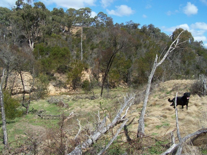 138  Off Chugga  Lane, Windellama NSW 2580