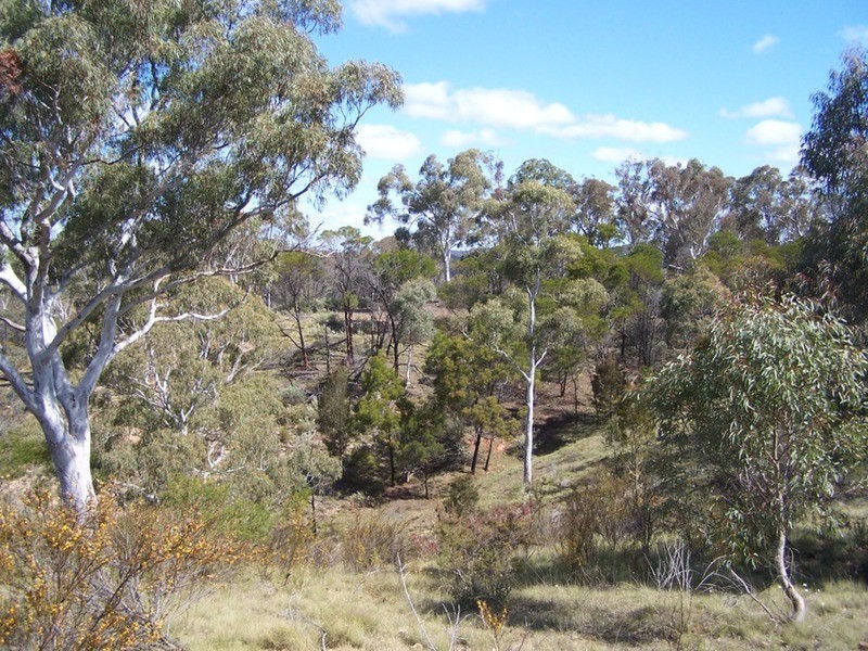 138  Off Chugga  Lane, Windellama NSW 2580