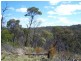 138  Off Chugga  Lane, Windellama NSW 2580