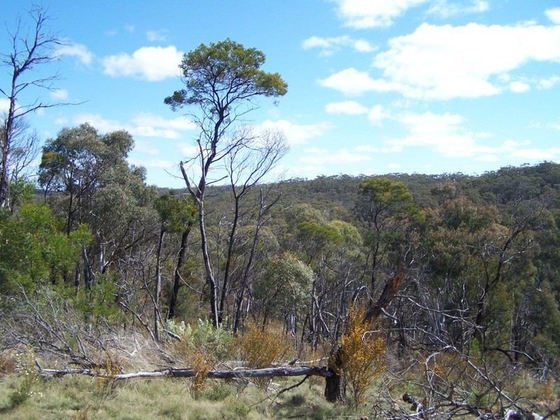 138  Off Chugga  Lane, Windellama NSW 2580