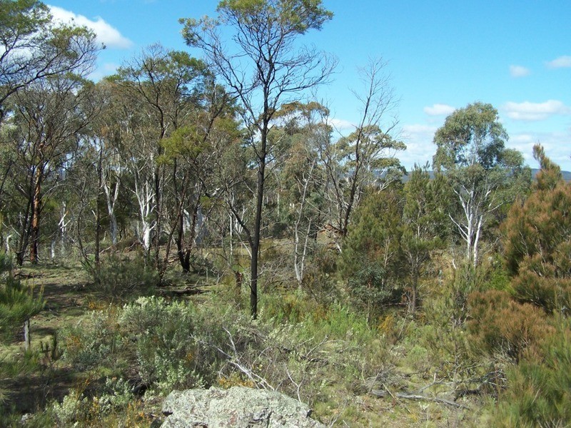 138  Off Chugga  Lane, Windellama NSW 2580