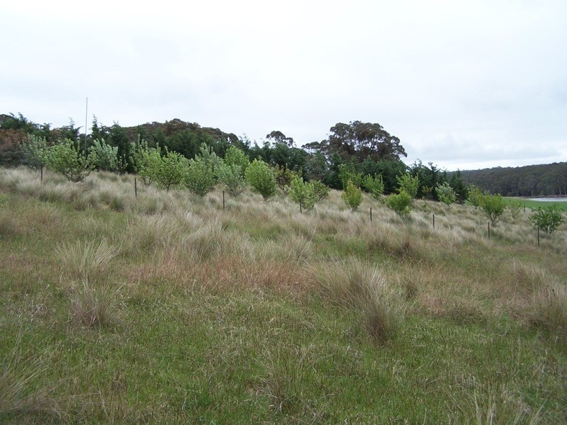 3559 Grabben Gullen Road, Crookwell NSW 2583