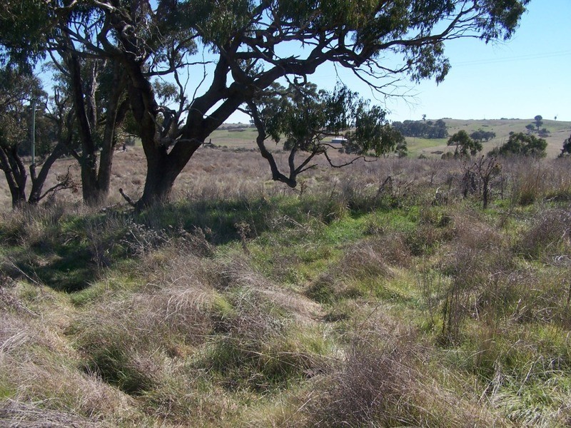 Lot 2 Lost River Road, Crookwell NSW 2583